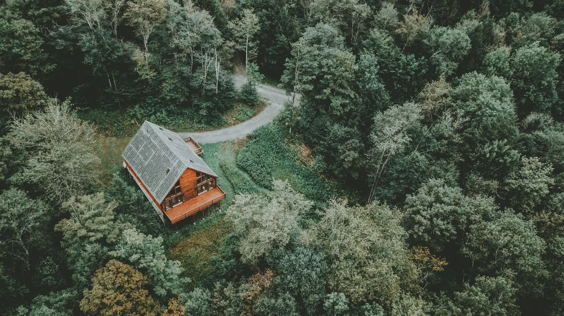 Aerial view of a cabin in the forest